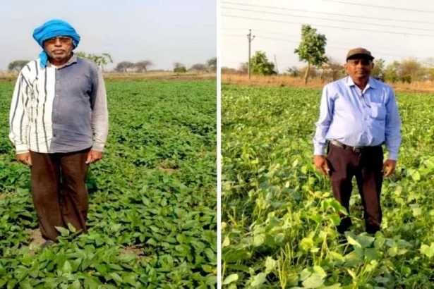 बेमेतरा जिले में दलहन के रकबे में चार गुना की वृद्धि