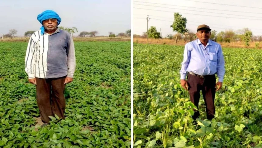 बेमेतरा जिले में दलहन के रकबे में चार गुना की वृद्धि