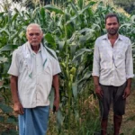 स्वीट कॉर्न की खेती से समृद्धि की नई मिसाल बने किसान रामचंद्र