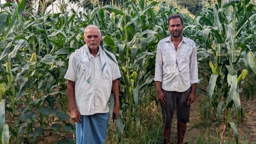 स्वीट कॉर्न की खेती से समृद्धि की नई मिसाल बने किसान रामचंद्र
