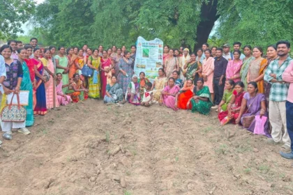 250 किसानों ने खरीदे 10 टन गुणवत्तायुक्त बीज, 250 टन उत्पादन का लक्ष्य