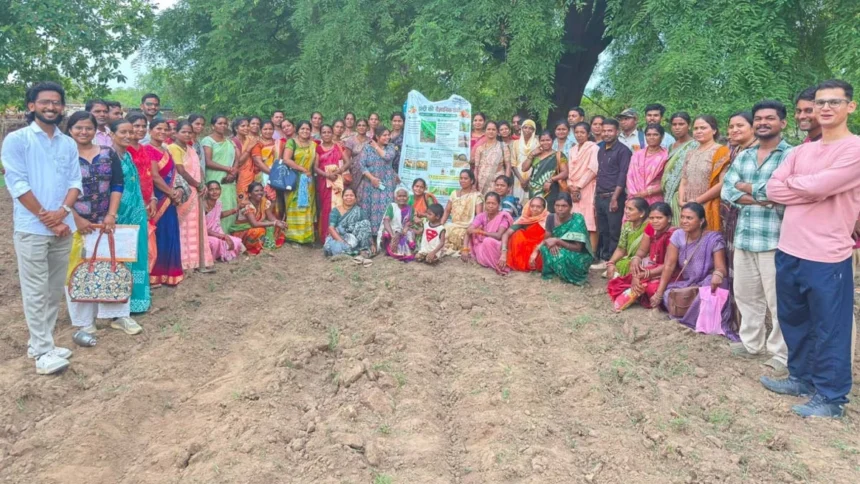 250 किसानों ने खरीदे 10 टन गुणवत्तायुक्त बीज, 250 टन उत्पादन का लक्ष्य