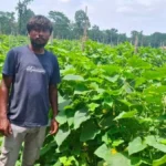 उद्यानिकी विभाग की योजना से बदली कमार कृषक की तकदीर