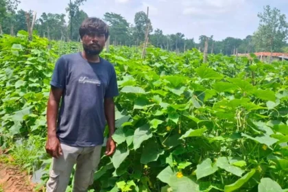 उद्यानिकी विभाग की योजना से बदली कमार कृषक की तकदीर