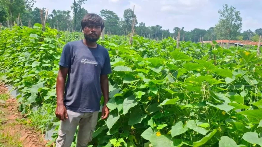 उद्यानिकी विभाग की योजना से बदली कमार कृषक की तकदीर