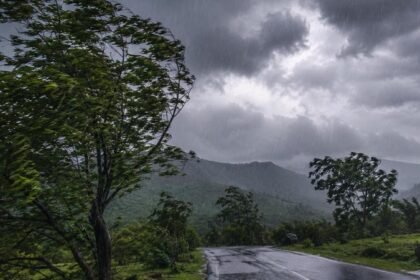 मानसून ने पकड़ी रफ्तार: कई जिलों में बारिश और तेज हवाओं का अलर्ट, छत्तीसगढ़ में आधे ज्यादा हिस्से में हुआ सक्रिय