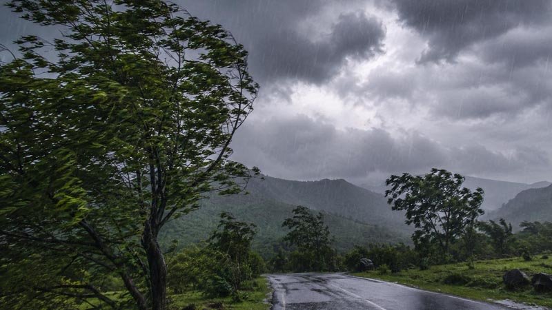 मानसून ने पकड़ी रफ्तार: कई जिलों में बारिश और तेज हवाओं का अलर्ट, छत्तीसगढ़ में आधे ज्यादा हिस्से में हुआ सक्रिय
