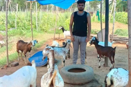 शासन की अनुदान सहायता बनी संबल, पशुधन की गुणवत्ता बढ़ी और वार्षिक आय पहुंची लगभग एक लाख रुपये तक