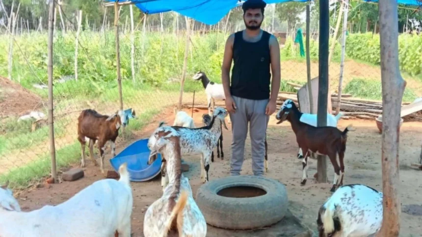 शासन की अनुदान सहायता बनी संबल, पशुधन की गुणवत्ता बढ़ी और वार्षिक आय पहुंची लगभग एक लाख रुपये तक