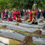नगरी विकासखंड में बांटे गए 1 लाख से अधिक पौधे, लागत घटेगी और बढ़ेगी किसानों की आय
