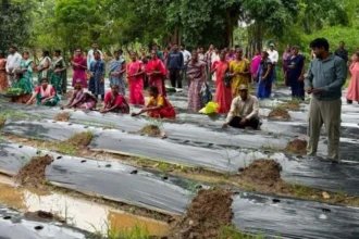 नगरी विकासखंड में बांटे गए 1 लाख से अधिक पौधे, लागत घटेगी और बढ़ेगी किसानों की आय