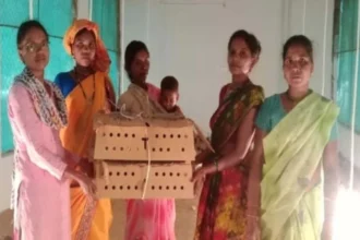एक सशक्त पहल जिसने खोला आत्मनिर्भरता का द्वार
