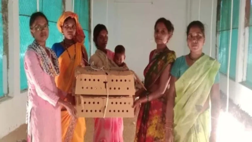 एक सशक्त पहल जिसने खोला आत्मनिर्भरता का द्वार