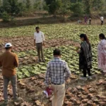 जिले के 37 हजार 131 संग्राहक परिवारों को 30 करोड़ 65 लाख 79 हजार रुपए से अधिक का हुआ भुगतान