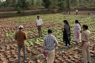 जिले के 37 हजार 131 संग्राहक परिवारों को 30 करोड़ 65 लाख 79 हजार रुपए से अधिक का हुआ भुगतान
