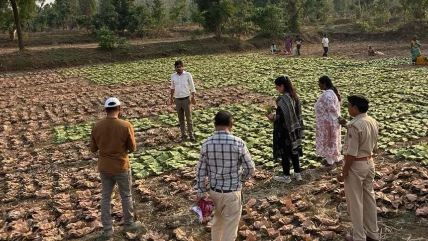 जिले के 37 हजार 131 संग्राहक परिवारों को 30 करोड़ 65 लाख 79 हजार रुपए से अधिक का हुआ भुगतान
