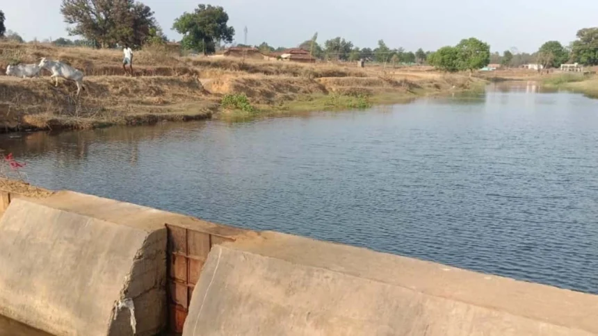 अंधेरगढ़ नाला का पक्का चेक डेम बना किसानों की उम्मीद, 12.5 एकड़ खेतों को मिलेगा सिंचाई का संबल