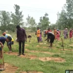 कोसा उत्पादन से बढ़ेगी ग्रामीणों की आय, मनरेगा से मिलेगा रोजगार