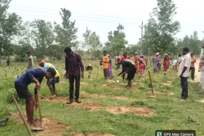 कोसा उत्पादन से बढ़ेगी ग्रामीणों की आय, मनरेगा से मिलेगा रोजगार