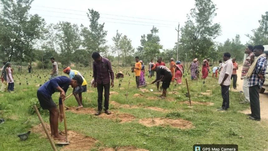 कोसा उत्पादन से बढ़ेगी ग्रामीणों की आय, मनरेगा से मिलेगा रोजगार