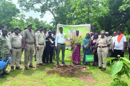 बलौदाबाजार वनमंडल में वृक्षारोपण कर पर्यावरण संरक्षण का दिया संदेश