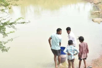 आजीविका डबरी का बहुउद्देशीय उपयोग