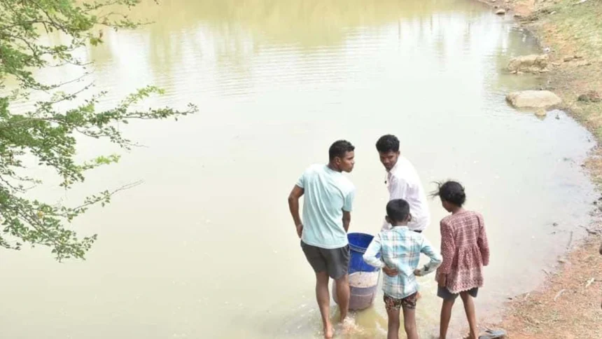आजीविका डबरी का बहुउद्देशीय उपयोग