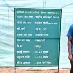 ऑयल पाम से लेकर आम-लीची, स्ट्रॉबेरी, टमाटर और फूलगोभी की खेती से बढ़ी आय