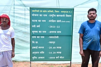 ऑयल पाम से लेकर आम-लीची, स्ट्रॉबेरी, टमाटर और फूलगोभी की खेती से बढ़ी आय