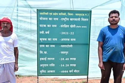 ऑयल पाम से लेकर आम-लीची, स्ट्रॉबेरी, टमाटर और फूलगोभी की खेती से बढ़ी आय