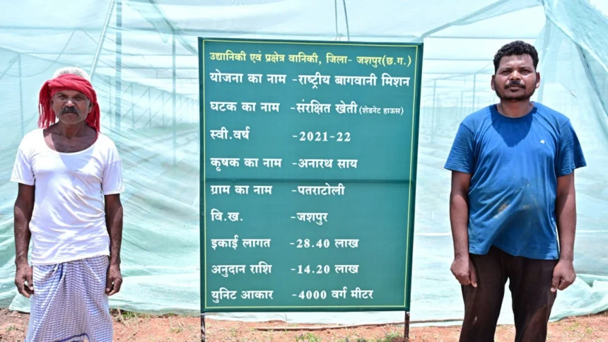 ऑयल पाम से लेकर आम-लीची, स्ट्रॉबेरी, टमाटर और फूलगोभी की खेती से बढ़ी आय