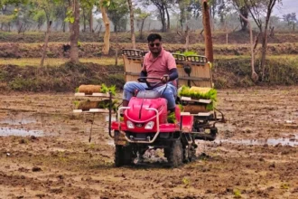 धान की बेहतर आय को खेती के आधुनिकीकरण में लगाया, 28 एकड़ में पैडी ट्रांसप्लांटर से कराई रोपाई