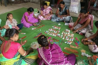 स्थानीय सामग्री से तैयार आकर्षक राखियां बनीं आय का जरिया