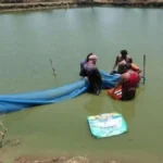तालाब बना आत्मनिर्भरता का आधार, वैज्ञानिक मत्स्य पालन से कामिनी की आय 2 लाख रुपये सालाना