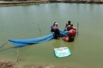 तालाब बना आत्मनिर्भरता का आधार, वैज्ञानिक मत्स्य पालन से कामिनी की आय 2 लाख रुपये सालाना