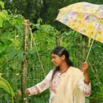 बाड़ी से निकली समृद्धि की राह, सपनों को मिली नई उड़ान