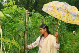 बाड़ी से निकली समृद्धि की राह, सपनों को मिली नई उड़ान