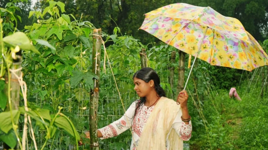 बाड़ी से निकली समृद्धि की राह, सपनों को मिली नई उड़ान