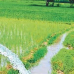 21 सिंचाई योजनाओं के कार्यों के लिए 76.93 करोड़ रूपए स्वीकृत