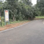 पीएम जनमन सड़क योजना ने मांझीपारा की राह आसान की, अस्पताल से स्कूल तक पहुंच हुई सुगम