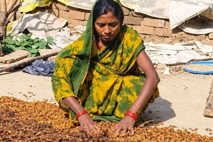 बिहान से मिली उड़ान, साय सरकार की योजनाओं से मजबूत हुआ आत्मविश्वास