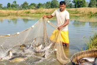 जल संरक्षण से आजीविका संवर्धन की ओर बढ़ता ग्राम बेन्द्राचुवा