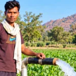 किसान समृद्धि योजना से मनोज के खेतों में आई हरियाली, बढ़ी खुशहाली