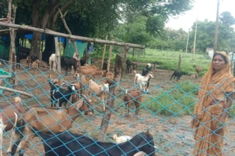 परंपरागत कार्य को व्यवसायिक साधन बनाकर आगे बढ़ रहीं हैं पद्मावती