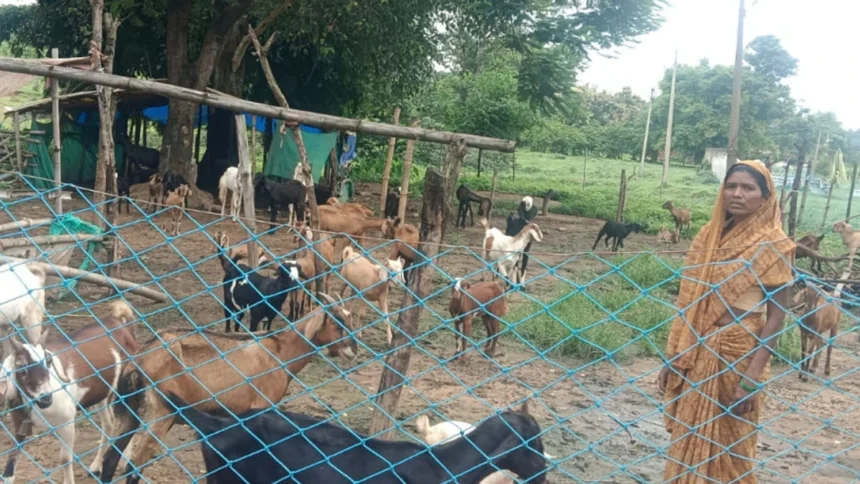 परंपरागत कार्य को व्यवसायिक साधन बनाकर आगे बढ़ रहीं हैं पद्मावती