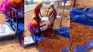 वन मंत्री केदार कश्यप के मार्गदर्शन में CGCERT की महत्वपूर्ण उपलब्धि