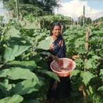 जनरल स्टोर, फैंसी सामान की दुकान और चिकन सेंटर से सालाना लगभग दो लाख रुपये की आय