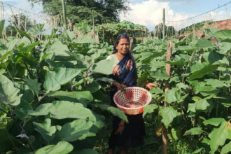 जनरल स्टोर, फैंसी सामान की दुकान और चिकन सेंटर से सालाना लगभग दो लाख रुपये की आय