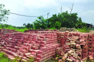 पीएमईजीपी से मिले 20 लाख रुपये के ऋण से स्थापित की चेकर टाइल्स एवं पेवर ब्लॉक निर्माण इकाई