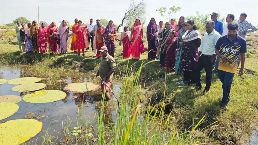महिला स्व-सहायता समूहों को मिलेगा वैज्ञानिक कटाई-पश्चात प्रबंधन का प्रशिक्षण